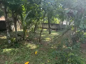 Land For Sale In Gampaha