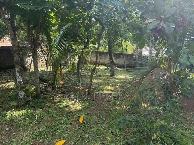 Land For Sale In Gampaha