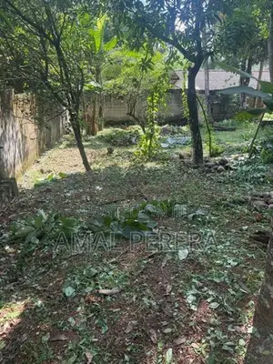 Land For Sale In Gampaha
