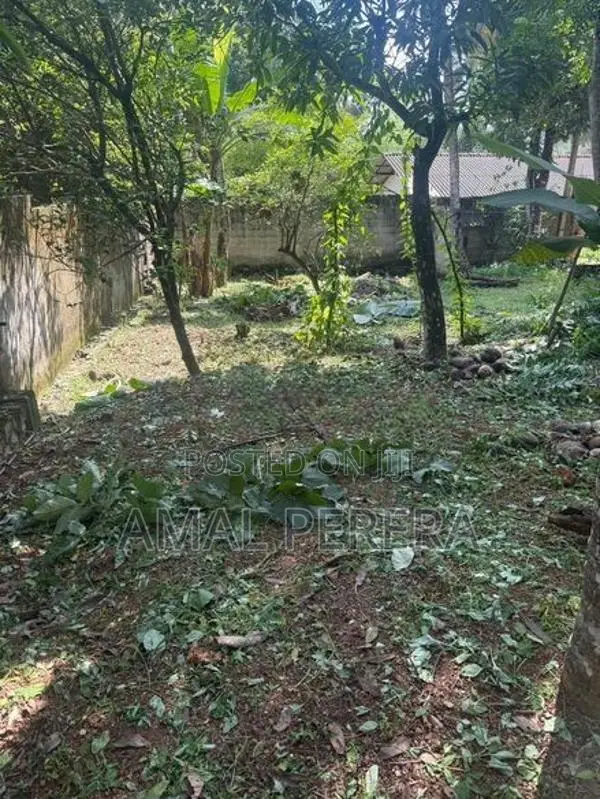 Land For Sale In Gampaha