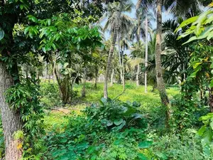 Commercial / Residential Land for Sale in Piliyandala Dampe