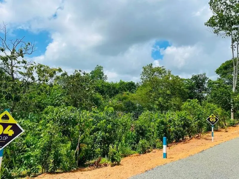 අම්බලන්ගොඩ නගරයට ලගින් ඉඩමක්