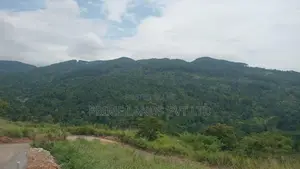 Land for Sale Galaha