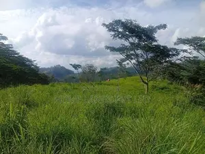 Beautiful Land for Sale in Pussellawa