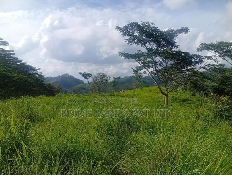 Beautiful Land for Sale in Pussellawa