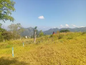Beautiful Land for Sale in Pussellawa