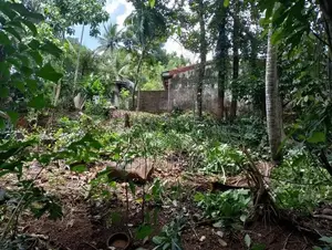 ( TS-1247) Valuable Residential Bare Land Sale in Malabe