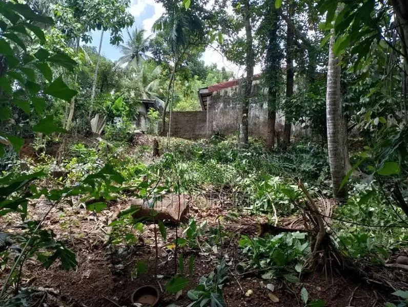 ( TS-1247) Valuable Residential Bare Land Sale in Malabe