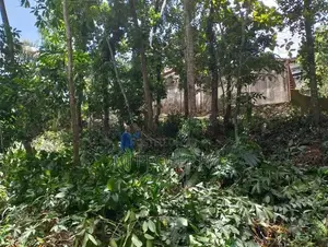 ( TS-1247) Valuable Residential Bare Land Sale in Malabe