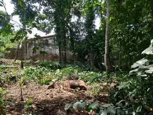 ( TS-1247) Valuable Residential Bare Land Sale in Malabe