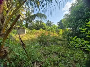 A9 வீதி – A.V. Road அருகில் கனவுக்காணி விற்பனைக்கு