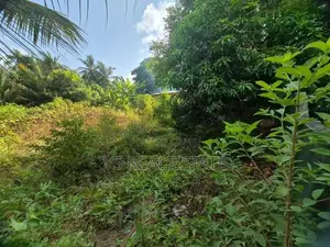 A9 வீதி – A.V. Road அருகில் கனவுக்காணி விற்பனைக்கு