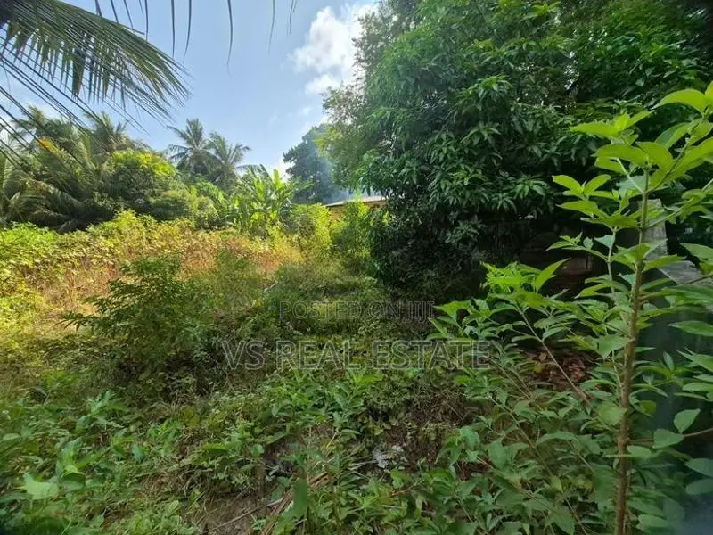 A9 வீதி – A.V. Road அருகில் கனவுக்காணி விற்பனைக்கு