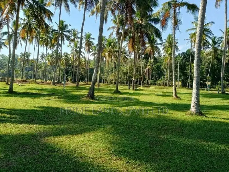 Land for Sale in Udugampola