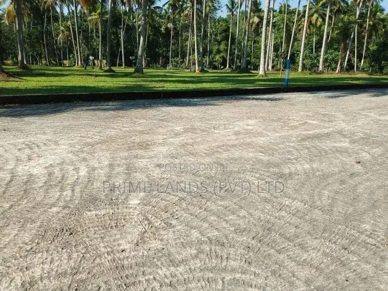 Land for Sale in Udugampola