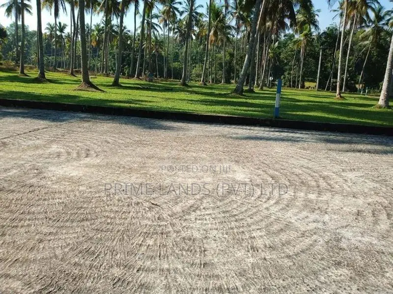 Land for Sale in Udugampola
