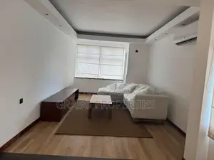 Fully Furnished New apartment unit for Rent in Colombo 7