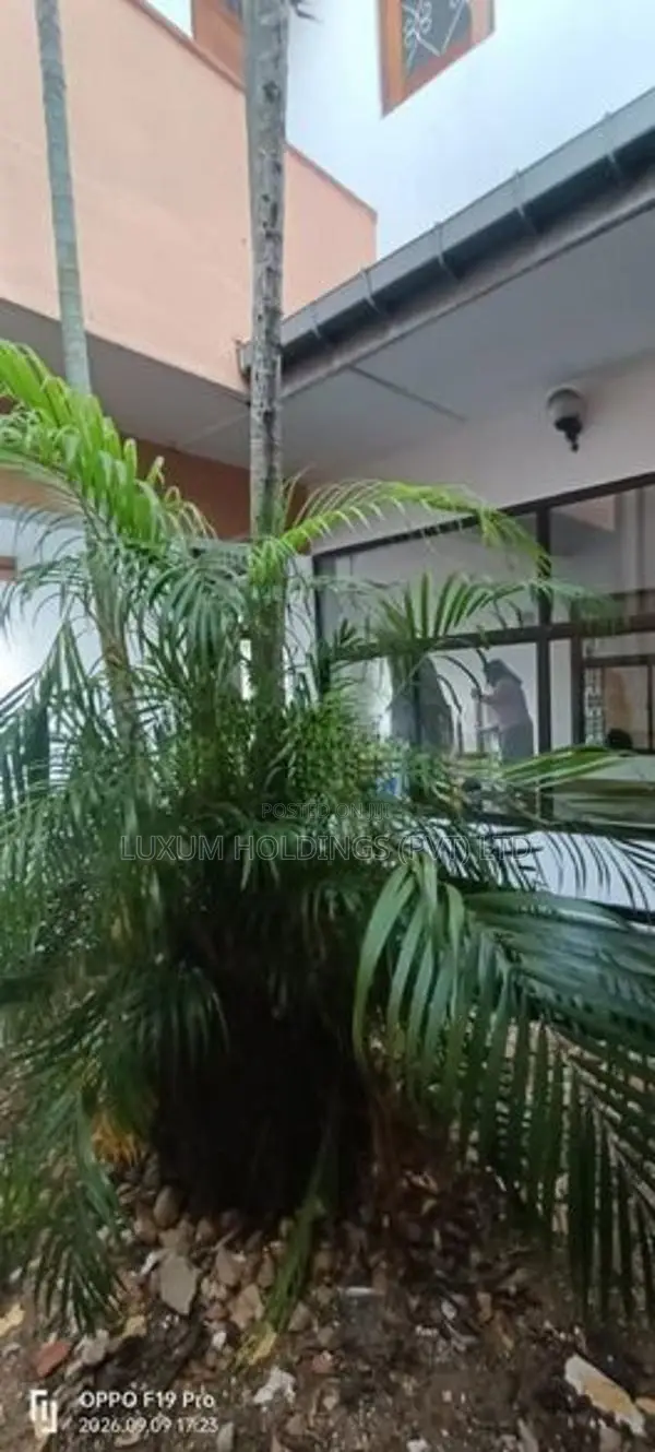 House For Rent Off Solis Bakery Nawala Koswatta [ 2324 C ]