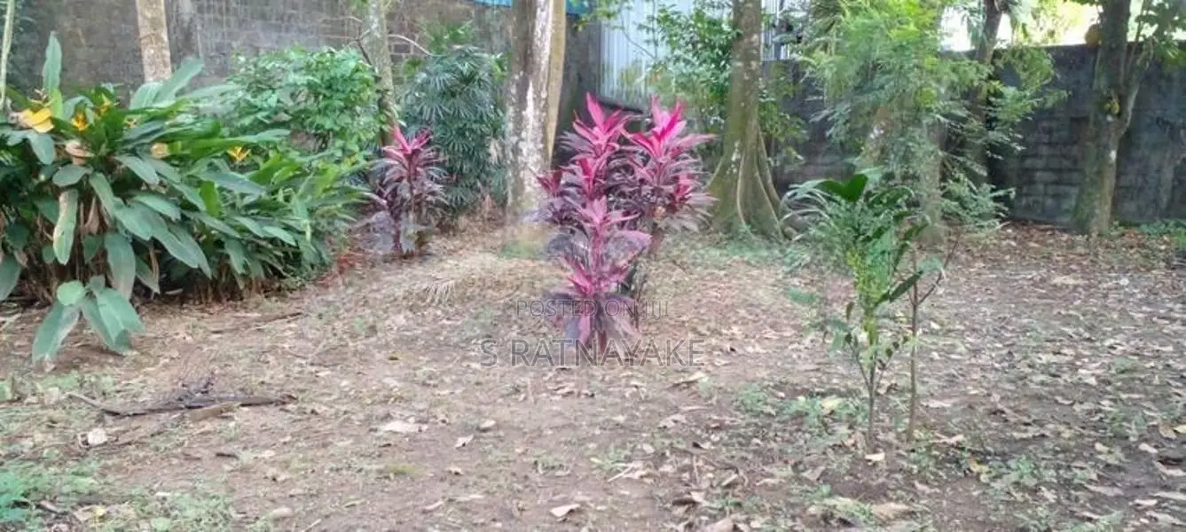 22 Perch Land With House In Wellampitiya