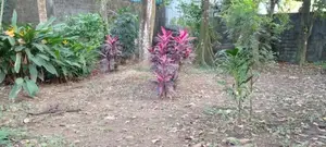 22 Perch Land With House In Wellampitiya