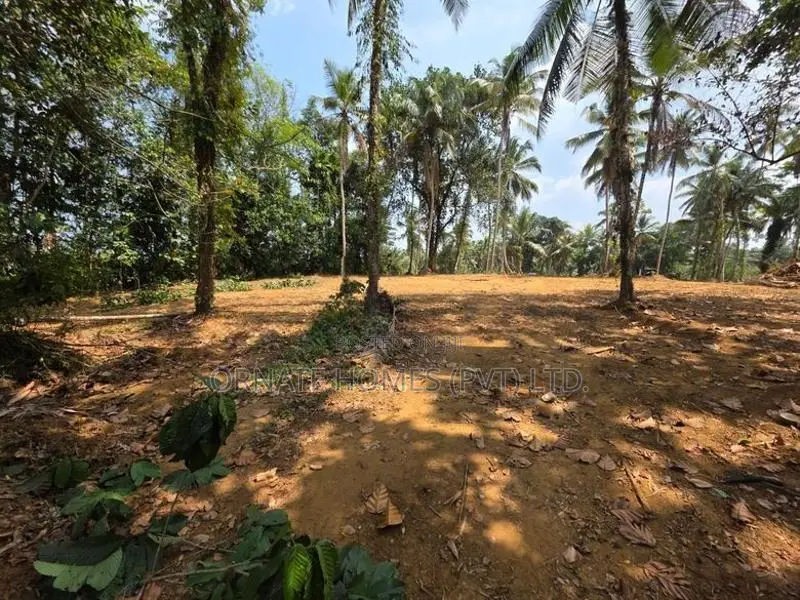 Mawak Oya Facing Land For Sale - Handapangoda