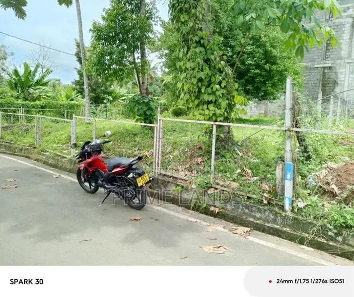 Land for Sale Navilfanandu Hospital Road