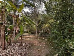 Tangalla Commercial Land for Sale ( RLS - 840 )