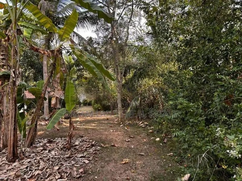 Tangalla Commercial Land for Sale ( RLS - 840 )
