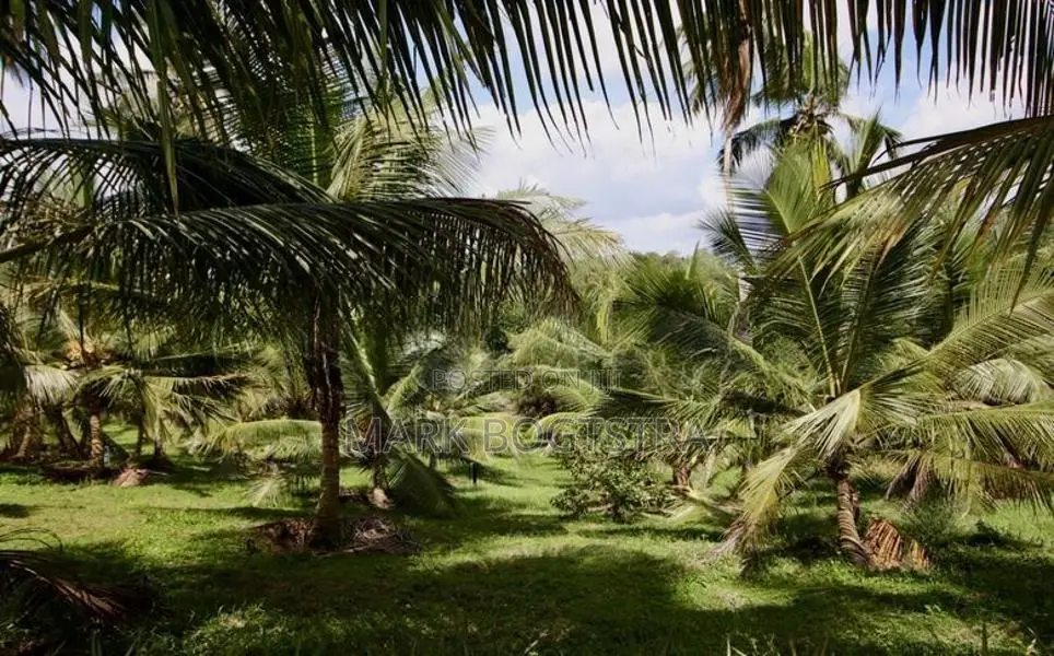 ඉඩමක් විකිණීමට - මල්වාන