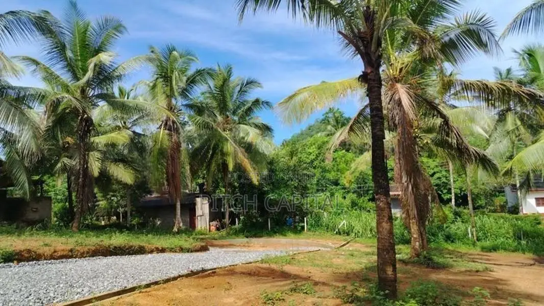 හංවැල්ල අගනා බිම් කොටස්