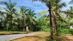 හංවැල්ල අගනා බිම් කොටස්