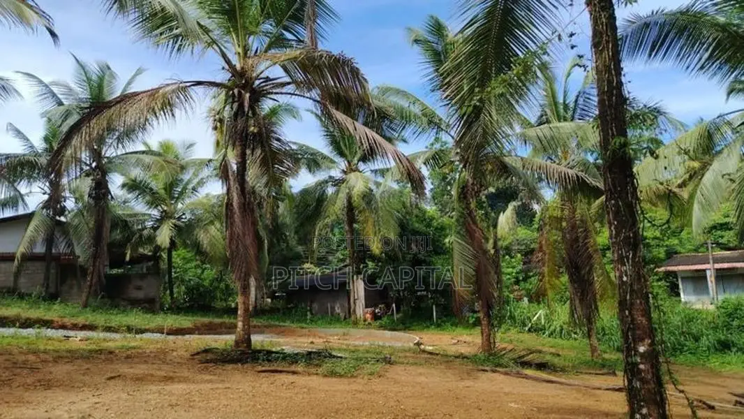 හංවැල්ල අගනා බිම් කොටස්