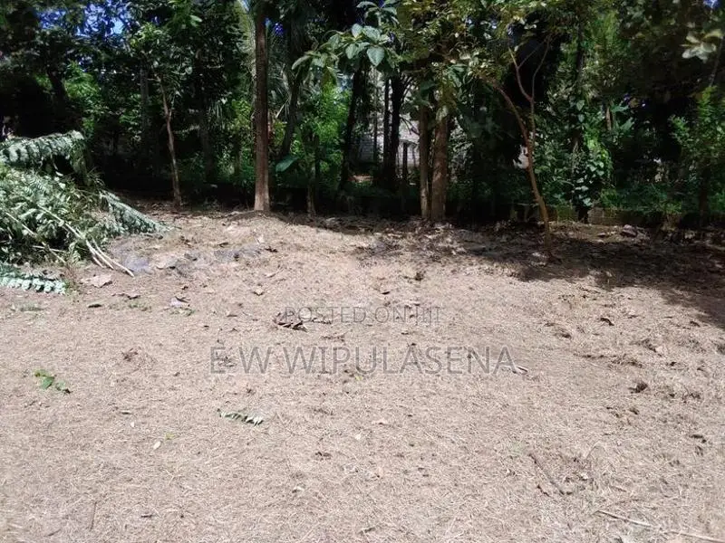 10.5 Perches Land for Sale in Seeduwa