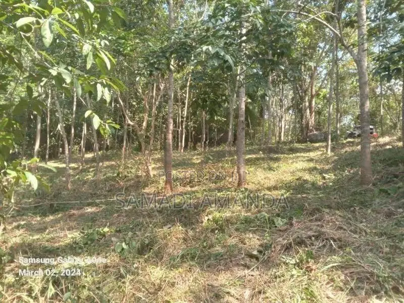 සින්නක්කර ඉඩම විකිණීමට මොණරාගල