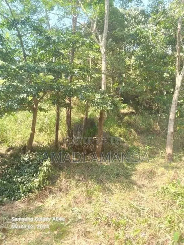 සින්නක්කර ඉඩම විකිණීමට මොණරාගල