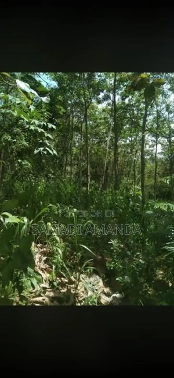 සින්නක්කර ඉඩම විකිණීමට මොණරාගල