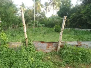 ලෝලුවාගොඩ දම්රෝ ආයතනය අසලින් වටිනා ඉඩමක් විකිණීමට