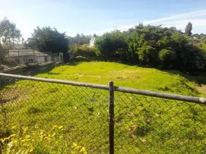 Hotel For Sale Nuwaraeliya In Nuwara Eliya