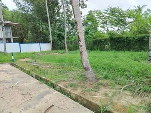 අතුරුගිරියෙන් සුන්දර වෙල්යායකට මුහුණලා වටිනා ඉඩමක්