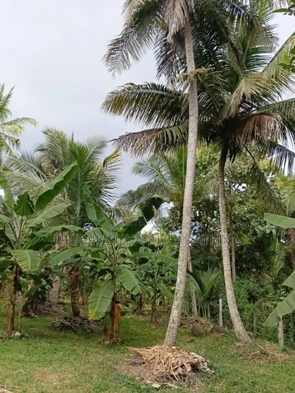 කටුපොත නගරයට ආසන්නව වටිනා ඉඩමක්