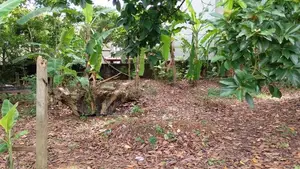 8P Bare Land for sale in Dewala Rd, Nugegoda CVVV –A3