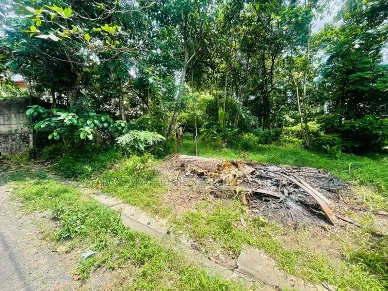 Land for Sale – Field View Avenue, Hokandara