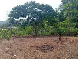 අගනා ඉඩමක් විකිනීමට - මීරිගම