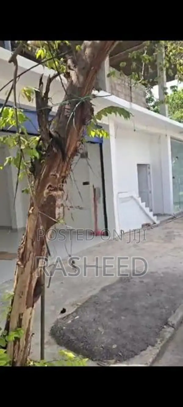 Office Building for Rent in Colombo 5