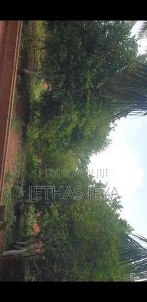 Land for Sale Jaffna