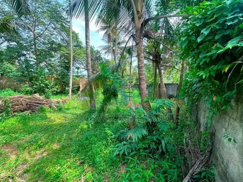 කිරිල්ලවලින් වටිනා නේවාසික ඉඩමක් විකිණීමට