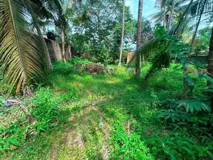 කිරිල්ලවලින් වටිනා නේවාසික ඉඩමක් විකිණීමට