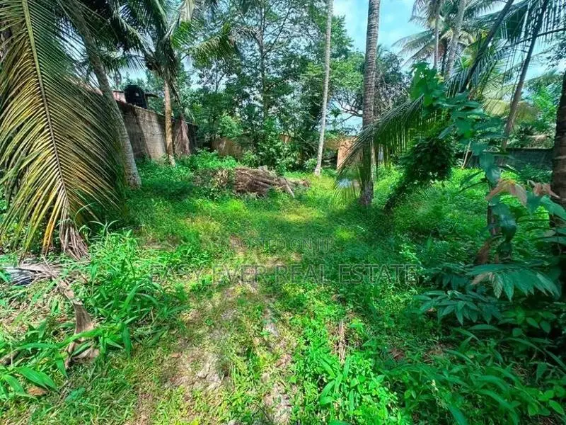 කිරිල්ලවලින් වටිනා නේවාසික ඉඩමක් විකිණීමට
