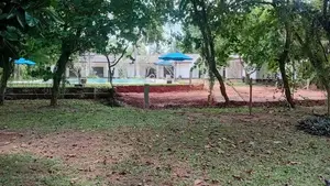 කටාන අලුත්ම ඉඩමක් විකිණීමට