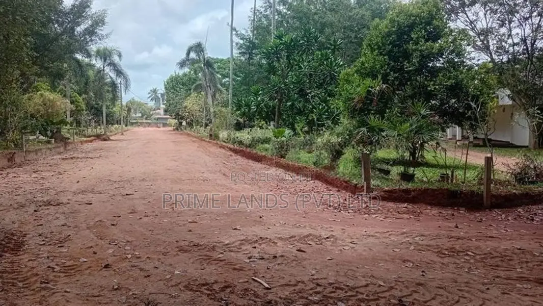 කටාන අලුත්ම ඉඩමක් විකිණීමට